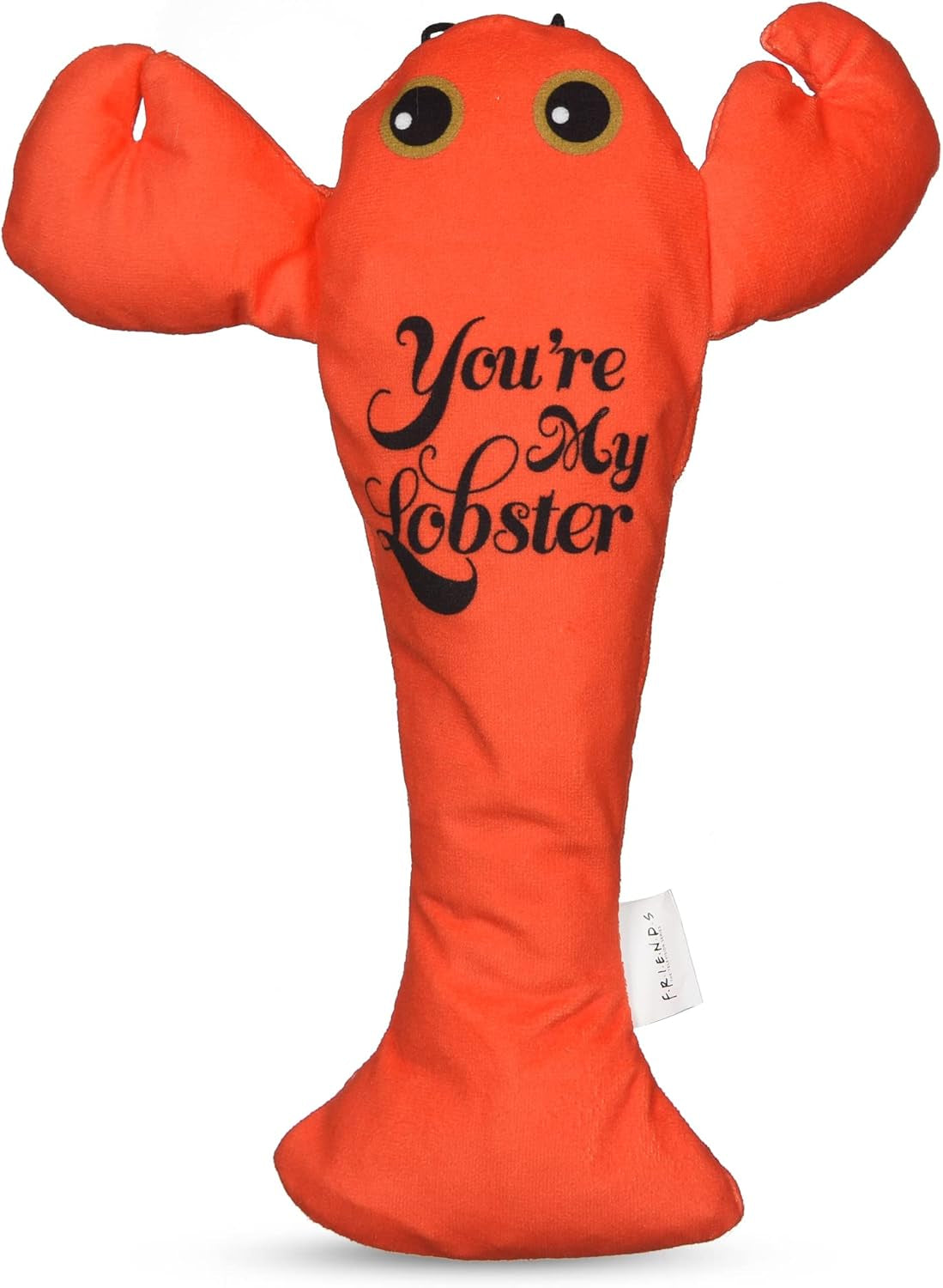Central Perk Coffee Mug Plush Dog Toy with Rope Handle| Soft Cute Squeaky Toy for All Dogs | Stuffed Dog Toys with Squeaker Noise for Added Fun, Friends Memorabilia